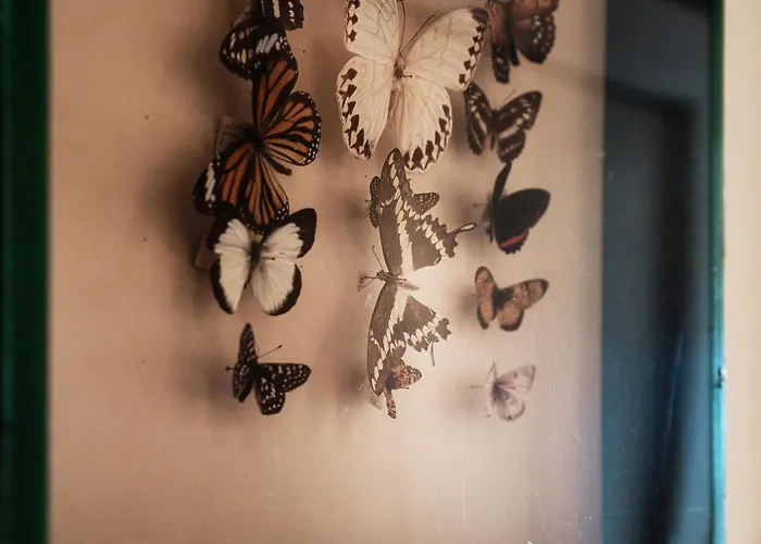 Rossa - By Myhomeincomo